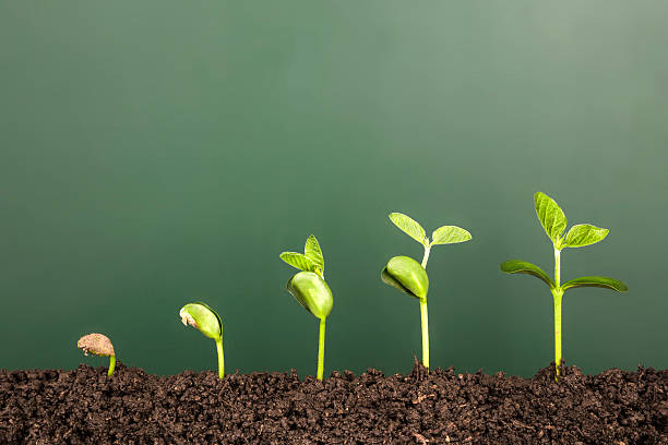 Growing in Godliness – Be Strong & Courageous!